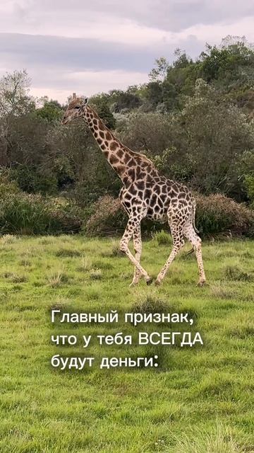 И это не про доход