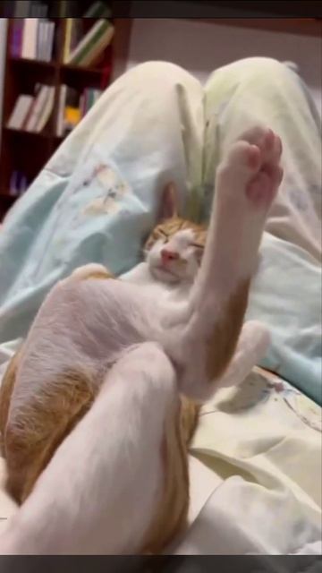 Рабочее утро, обстановка😓