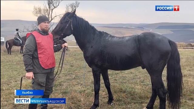 Вести на черкесском языке 25.11.2025