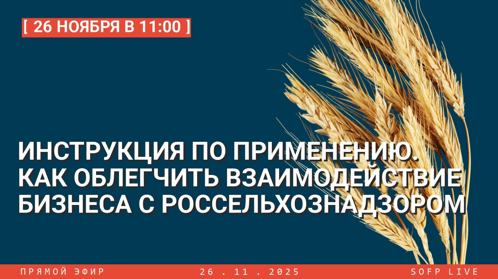 Прямой эфир: «Инструкция по применению. Как облегчить взаимодействие бизнеса с Россельхознадзором»