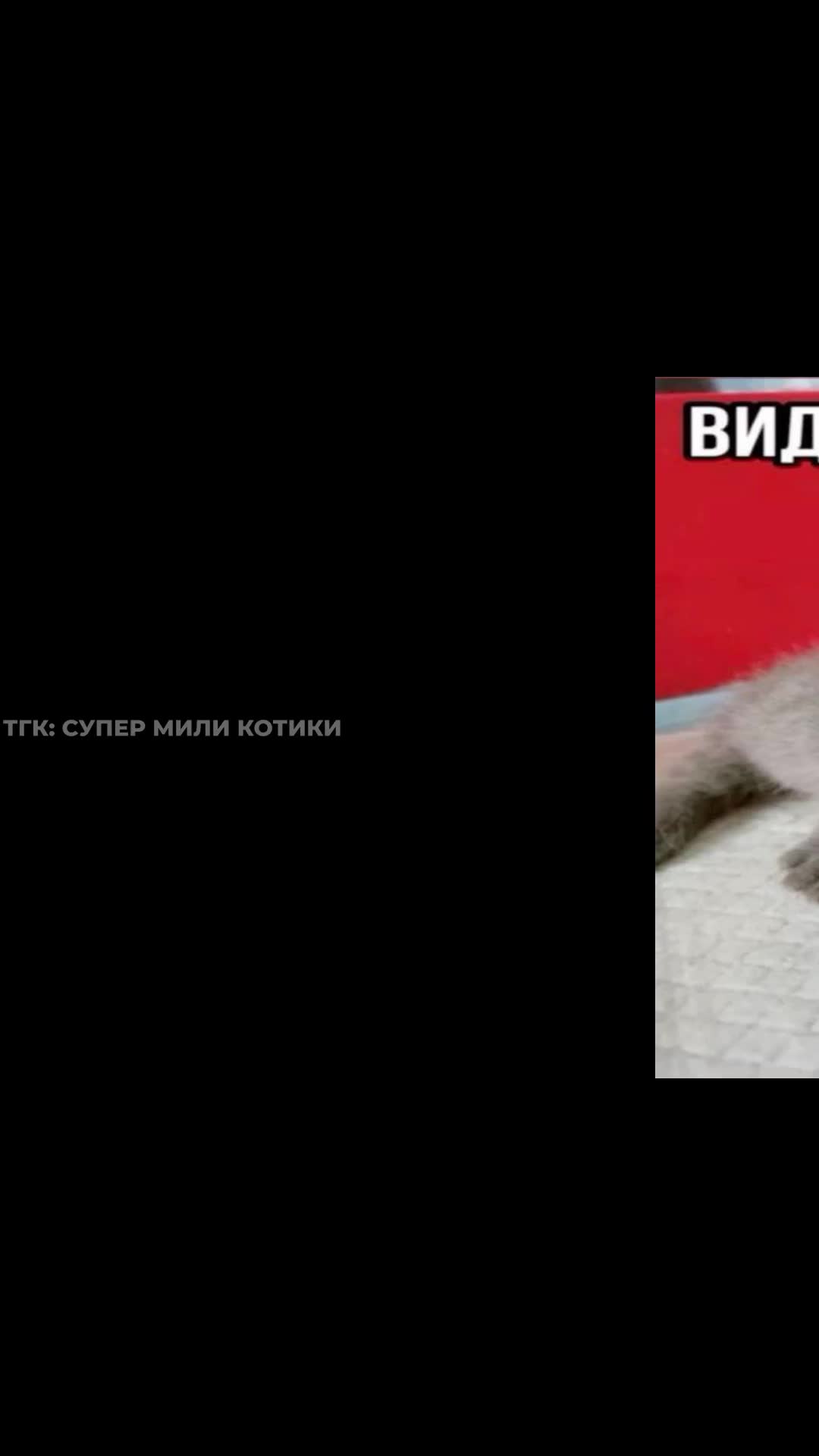 supermilikotiki_130.mp4