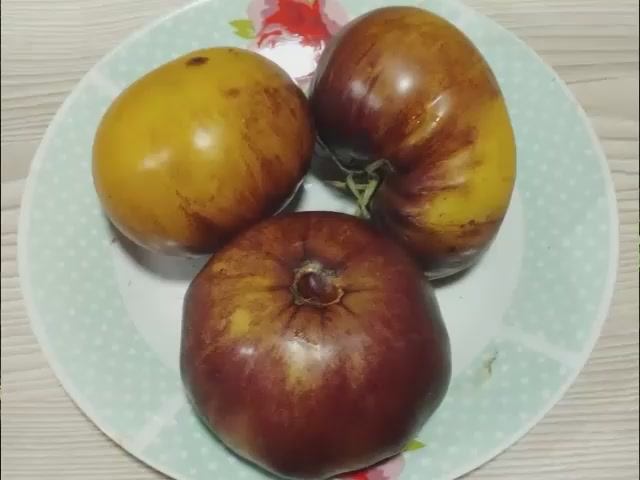 Каталог томатов - Новинок 2025 года. Часть 7. г. Киров.  т. 89229284031