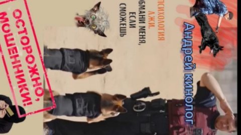 Санитарно-культурное лечение.