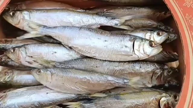 Пузанок вяленый