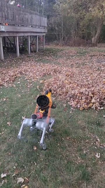 Сначала уберёт листву,а потом тебя