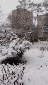 Привет от Александры Санкт-Петербург 25.11.25.