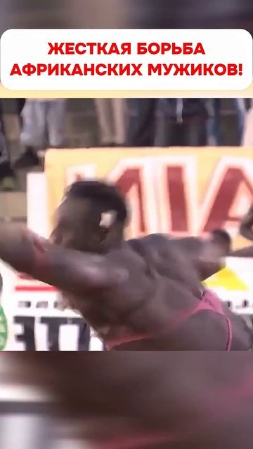 Как борются мощные африканские мужики #shorts #спорт #единоборства