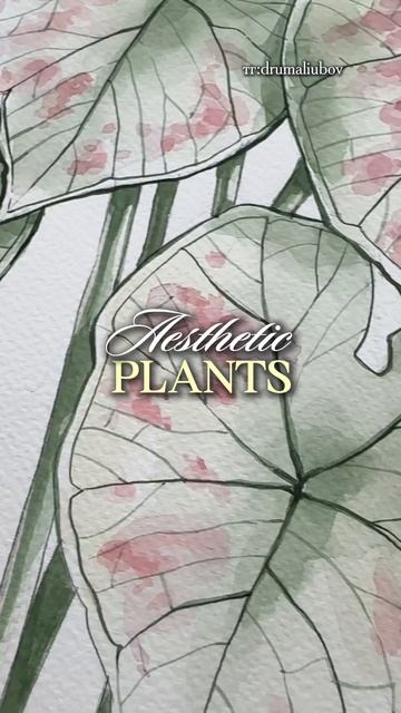 Рисуем акварелью