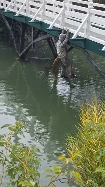 Сходил на рыбалку