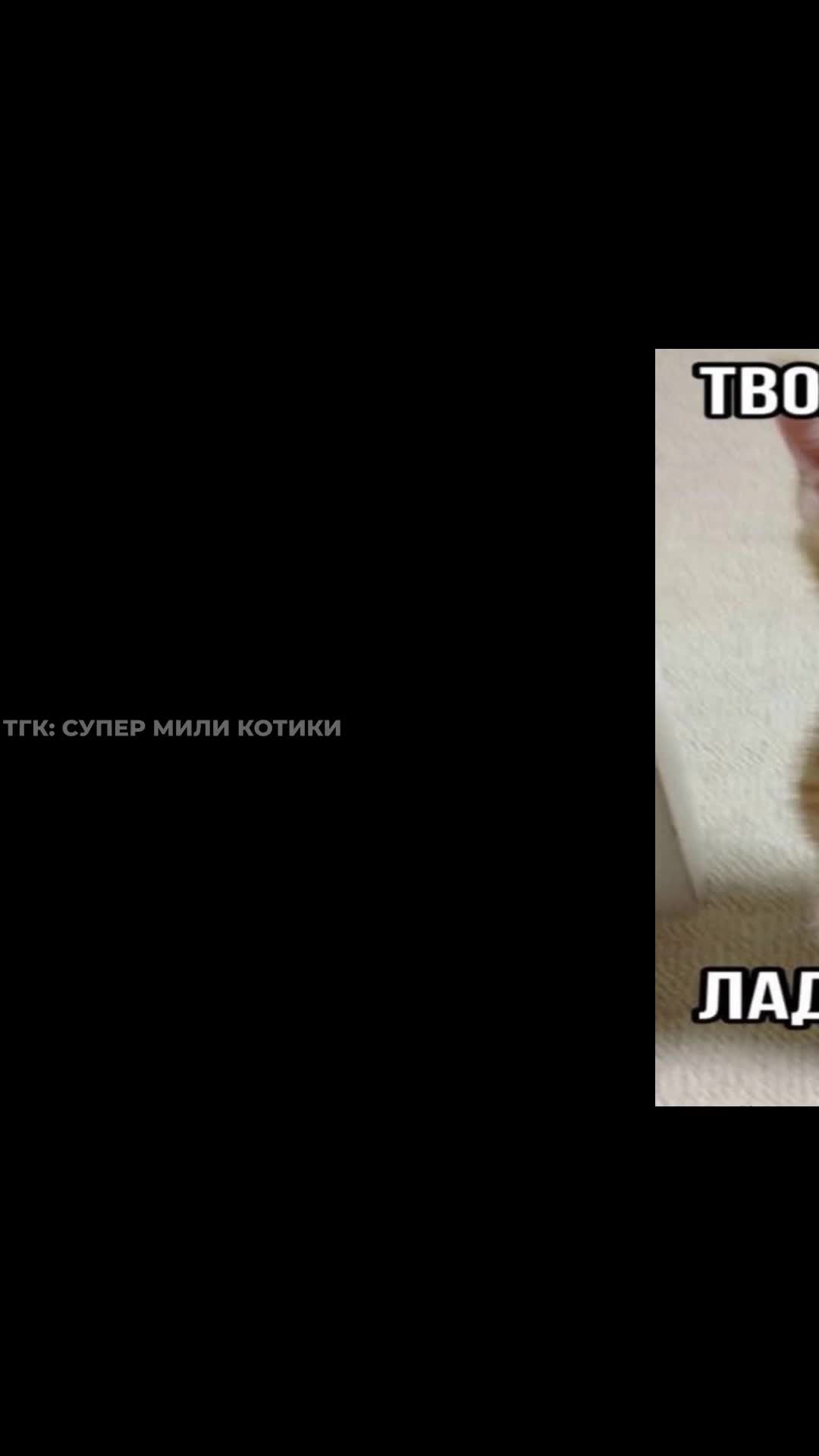 supermilikotiki_134.mp4