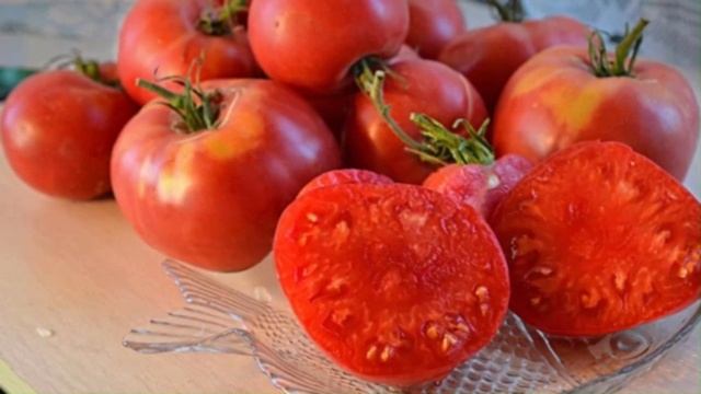 Каталог томатов на 2026 год. Часть 6. г. Киров. т. 89229284031