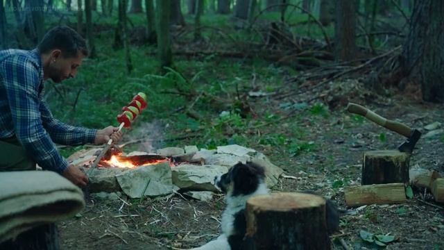 Я с собакой прячусь от грозы в лесной хижине и остаюсь там на ночь