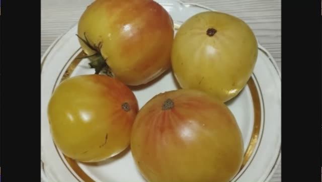 Каталог томатов на 2026 год. Часть 11. г. Киров. т. 89229284031