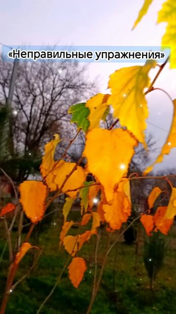 “Ошибки, из-за которых Р не ставится годами”: