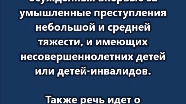ЛДПР предлагает объявить амнистию в честь Дня матери