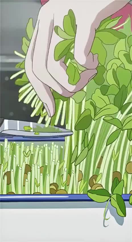 #аниме #еда #готовка #lofi