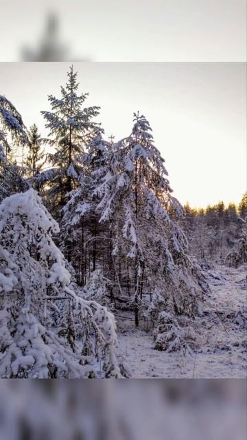 29.11 - 1.12.2024 Привет зима!🌬🌨❄️
