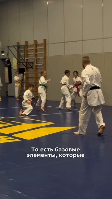 Тренировки по каратэ для начинающих