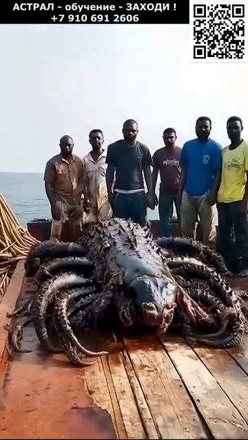 Удачная рыбалка на морских чудовищ. Невероятное #рыбалка #морские #чудовища #невероятное #чудо