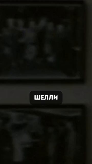 Интересный факт #10