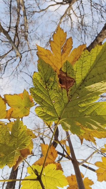 25.11.2025 #сегоднятак #природа #прырода #табиғ #自然 #natureza #natura #자연 #طبيعة #प्रकृति #nature