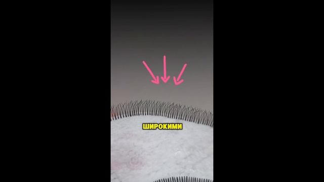 Причина, почему ресницы получаются лохматыми?