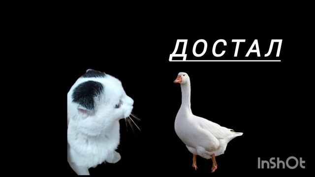 серый путешествие по мирам 3 серия