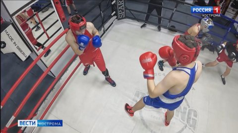 Сразу два костромича в этом году попали в сборную России по боксу