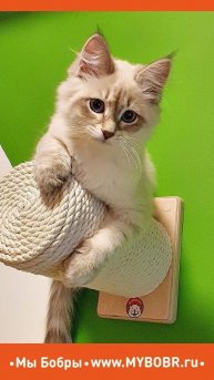 Все как всегда Стильно, Качественно и очень Надежно❤