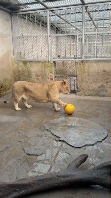 Добрый ☺️😉🧐