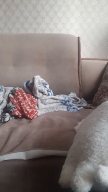 как спит мой дед как сплю я