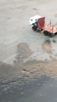 гоняю камаз