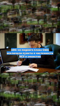 ABC: из мирного плана США исключили пункты о численности ВСУ и амнистии