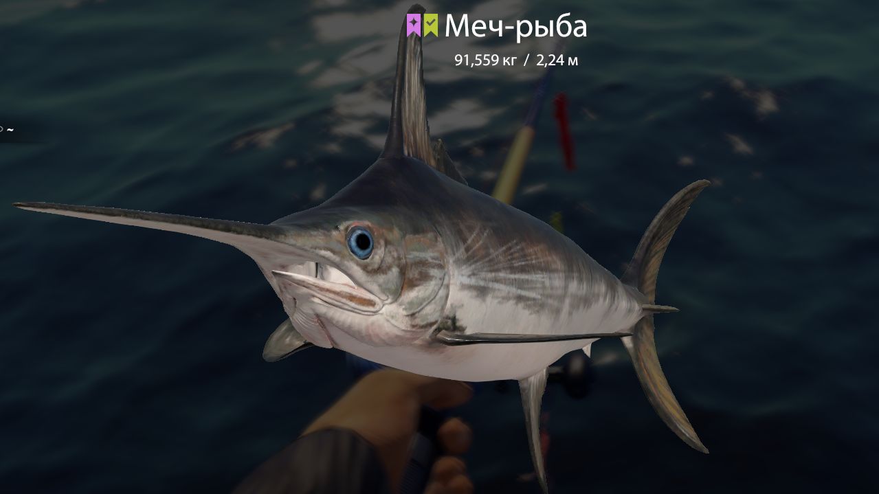 Русская Рыбалка 4 !