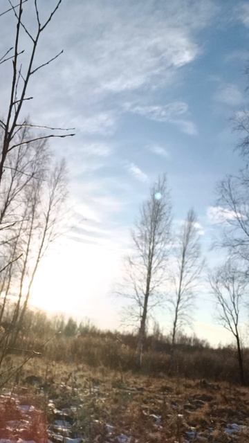 Чай в лес ходим пить