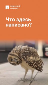 Опять не могу прочитать то, что сам написал