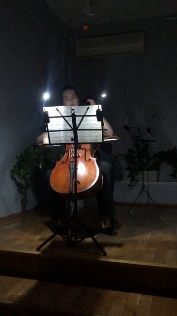 Чеховка. Концерт во тьме, но не кромешной. Скрипка, альт, виолончель и фагот (не разом). Фрагмент 3