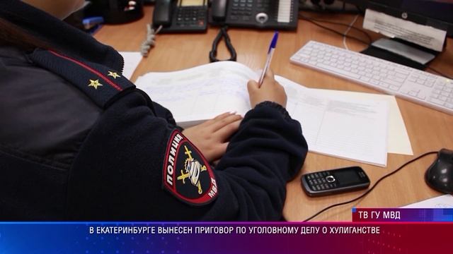 В Екатеринбурге вынесен приговор по уголовному делу о хулиганстве