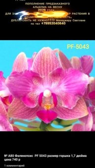 ВСЕМ ПРИВЕТ. ПОПОЛНЕНИЕ ПРЕДЗАКАЗНОГО АЛЬБОМА НА ВЕСНУ 2026 ГОДА. В описании написали как заказать