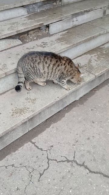 1000005316.mp 25.11.2025г.