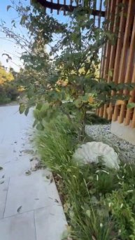 Прогулка по объекту Как вам результат?