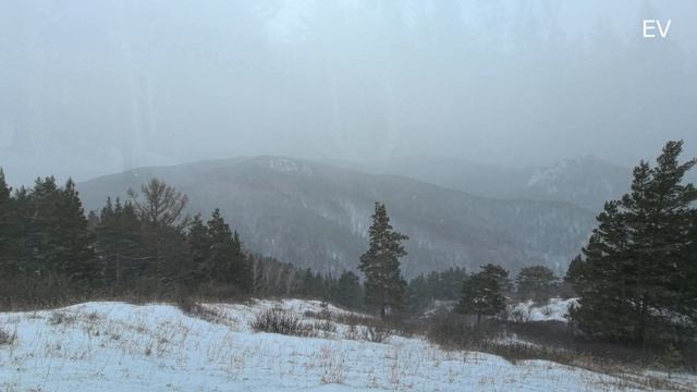 ЕРМАК ВОСТОЧНЫЙ ВХОД 2025 НОЯБРЬ