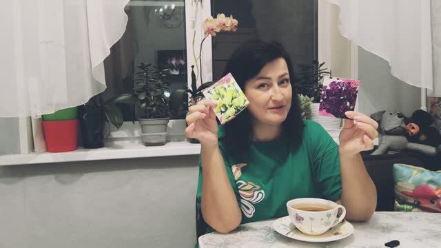 ЭУСТОМА. Неподдающийся цветок. 24.11.2025г. Первый посев на будущий год.