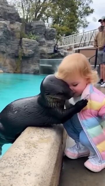 Ничего милее вы сегодня нe yвидите