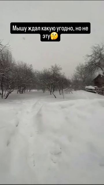 Здравствуй,мыша