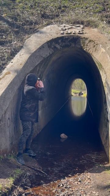 Никогда не спорьте с дураками и с эхом, последнее слово всё равно будет за ними.