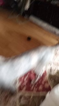 Варвара Фёдоровна💖