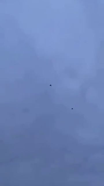 Утро! Герани потянулись на Киев!