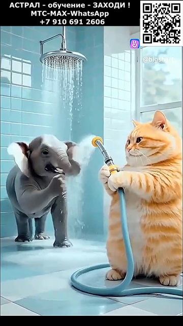 Котики. Рыжик путешественник. Позитив. Юмор. Нейросеть. ИИ #котики #рыжик #настроение #юмор #позитив