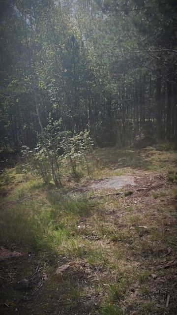 Выборгский район Ленинградской области